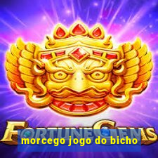 morcego jogo do bicho