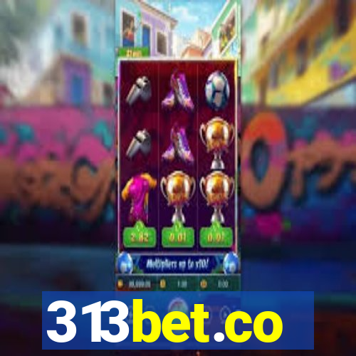 313bet.co