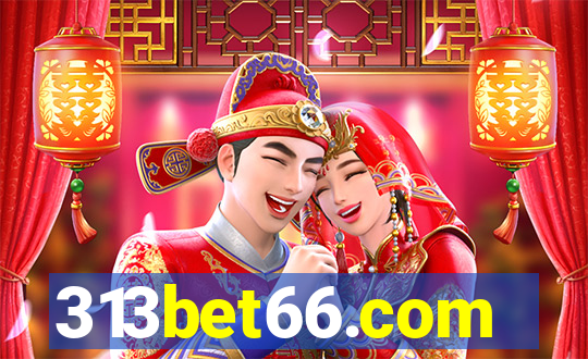 313bet66.com