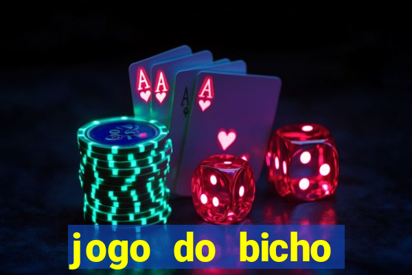 jogo do bicho crash bingo