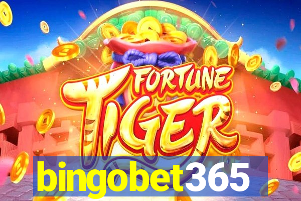 bingobet365