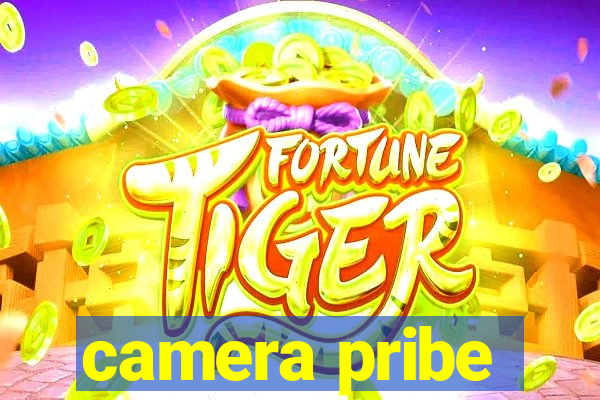 camera pribe