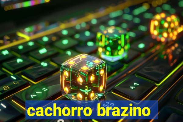 cachorro brazino