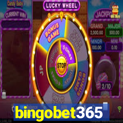 bingobet365